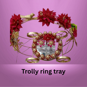 Trolly Ring Tray