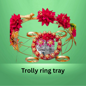 Trolly Ring Tray