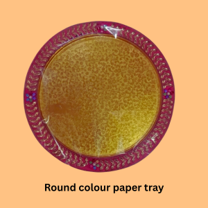 Round Colour Paper Tray (Item No:-3-16)