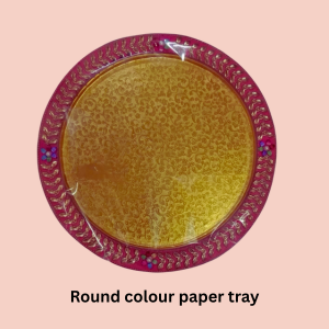 Round Colour Paper Tray